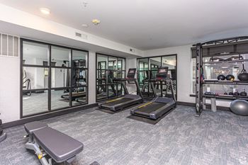 A gym with treadmills, weights, and exercise balls.